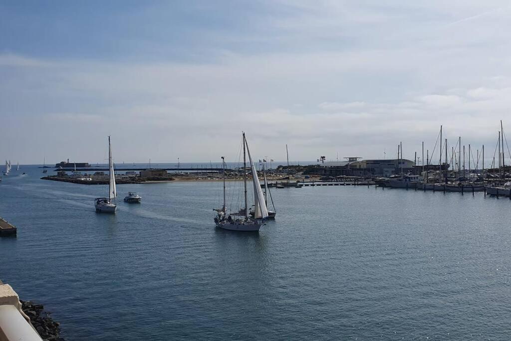 Appartement Avec Balcon, Vue Mer, Piscine, Parking Agde Exteriér fotografie